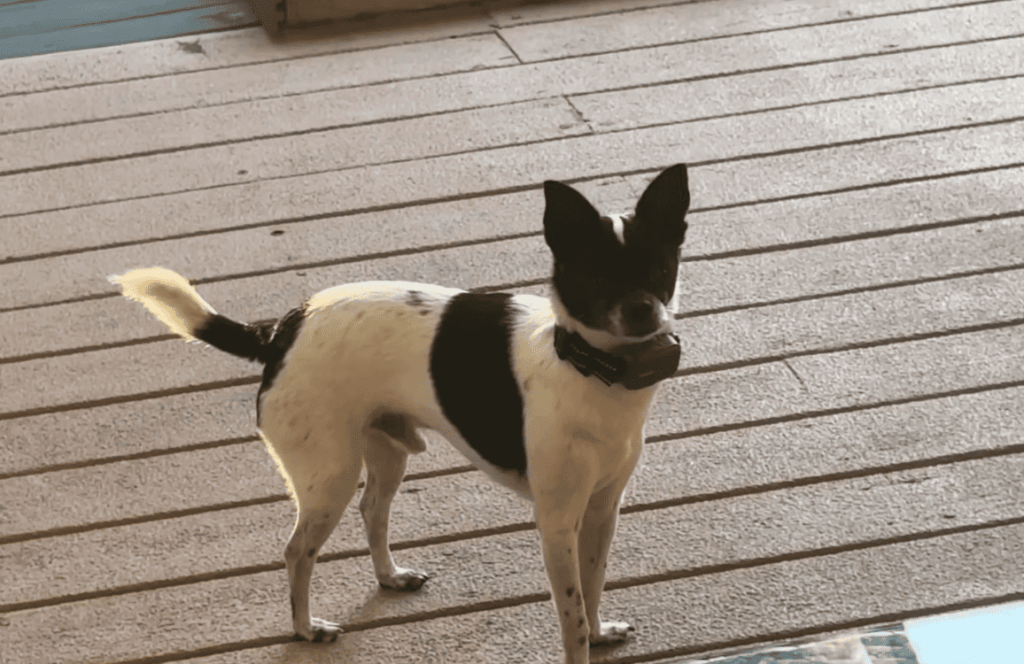 Common Causes Behind