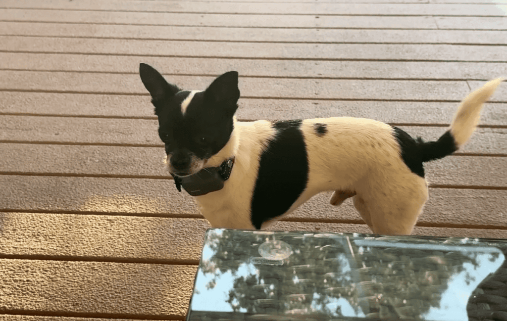 Fixing Connection and Pairing Problems Step-by-Step