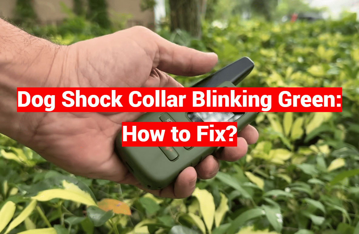 Dog Shock Collar Blinking Green: How to Fix?