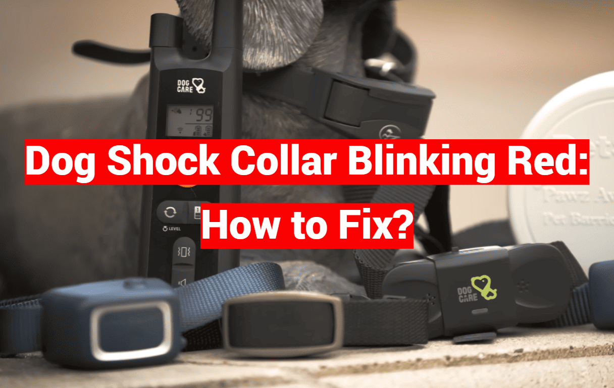 Dog Shock Collar Blinking Red: How to Fix?