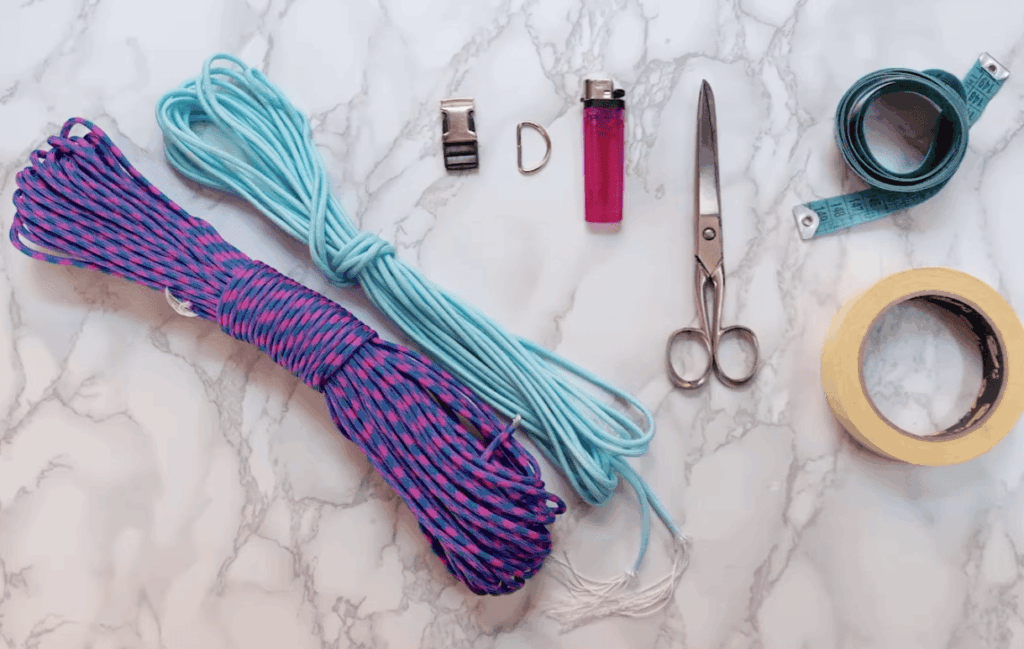 Why Proper Dog Collar Fit Matters