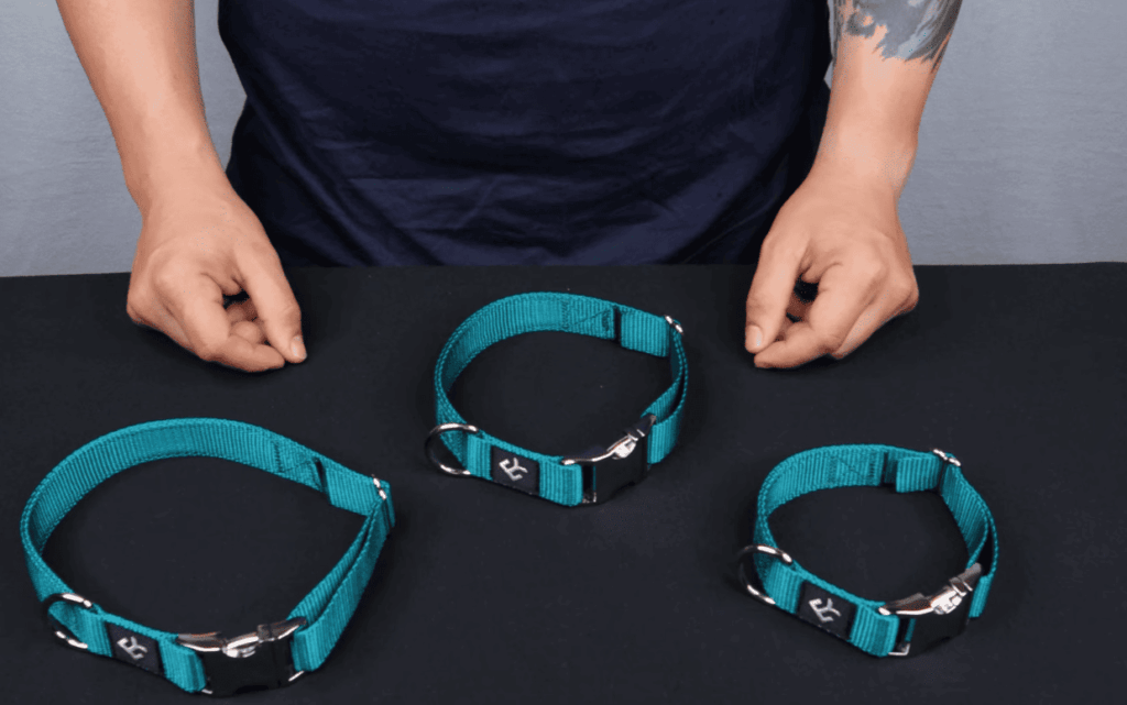 How to Tighten a Dog Collar? Step-by-Step Instructions