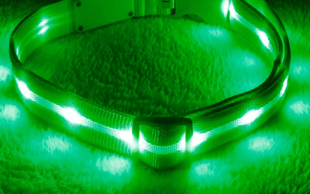 What Is a Glow in the Dark Dog Collar?