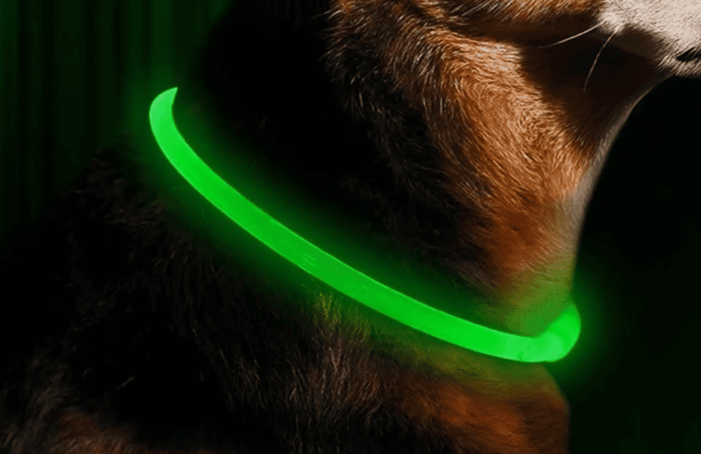 Why Your Dog Needs Visibility After Dark