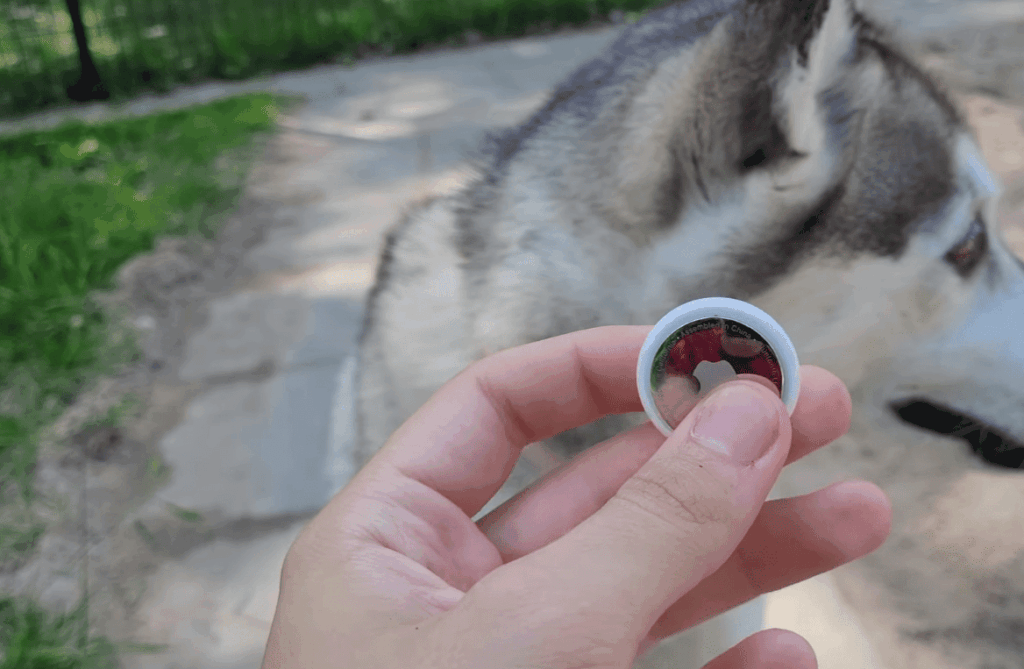 3. Types of AirTag Dog Collar Attachments