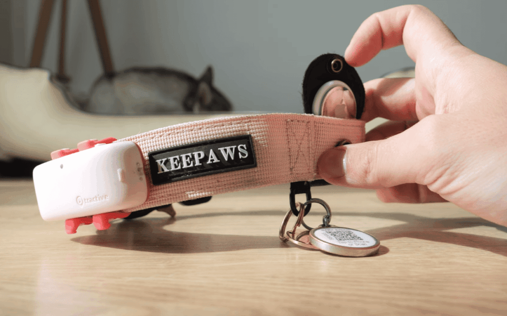 5. Setting Up Your Dog's AirTag Collar