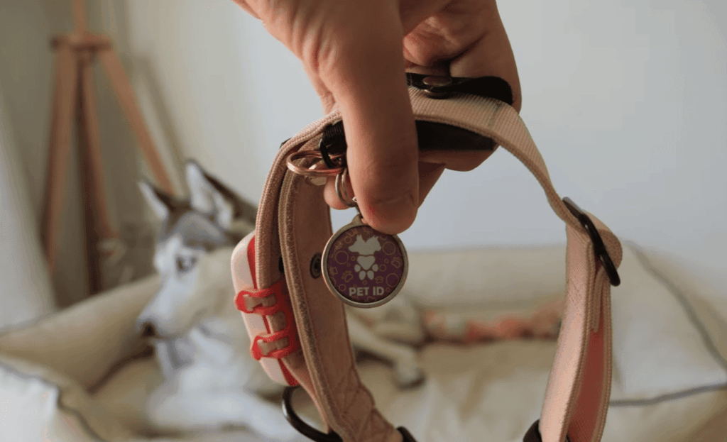 7. AirTag vs. GPS Dog Trackers