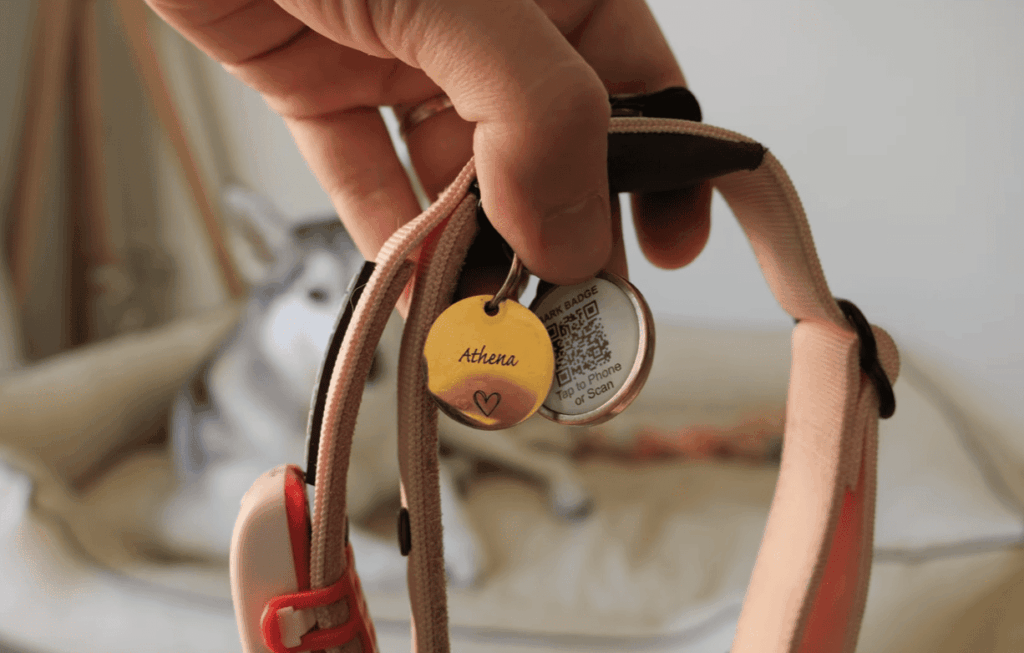 8. Safety Considerations for AirTag Dog Collars