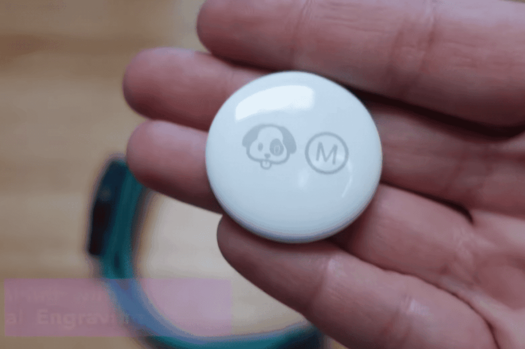 4. Benefits of Using an AirTag for Your Dog